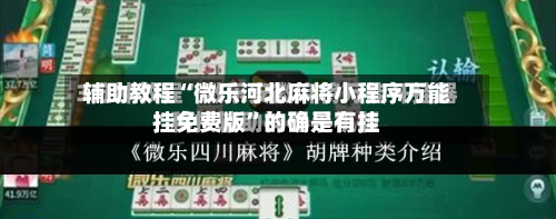 辅助教程“微乐河北麻将小程序万能挂免费版”的确是有挂-第3张图片