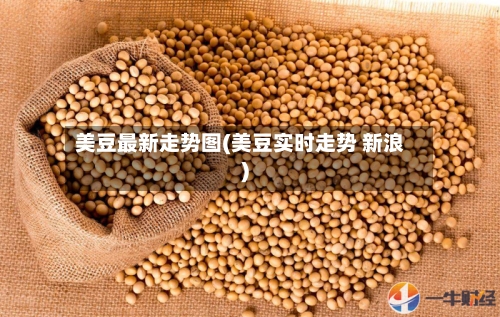 美豆最新走势图(美豆实时走势 新浪)-第3张图片