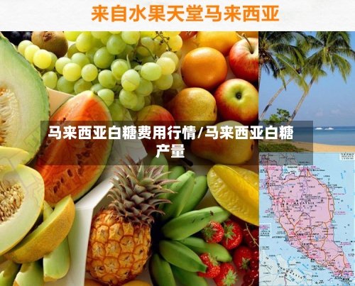 马来西亚白糖费用行情/马来西亚白糖产量