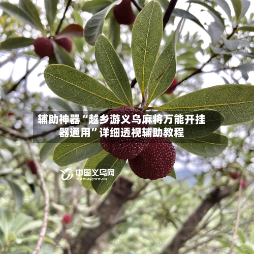 辅助神器“越乡游义乌麻将万能开挂器通用”详细透视辅助教程-第2张图片
