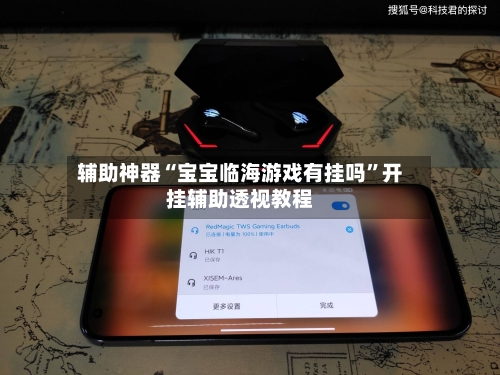 辅助神器“宝宝临海游戏有挂吗	”开挂辅助透视教程-第2张图片
