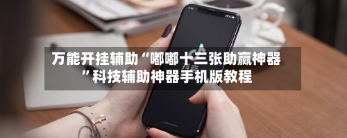 万能开挂辅助“嘟嘟十三张助赢神器”科技辅助神器手机版教程-第2张图片