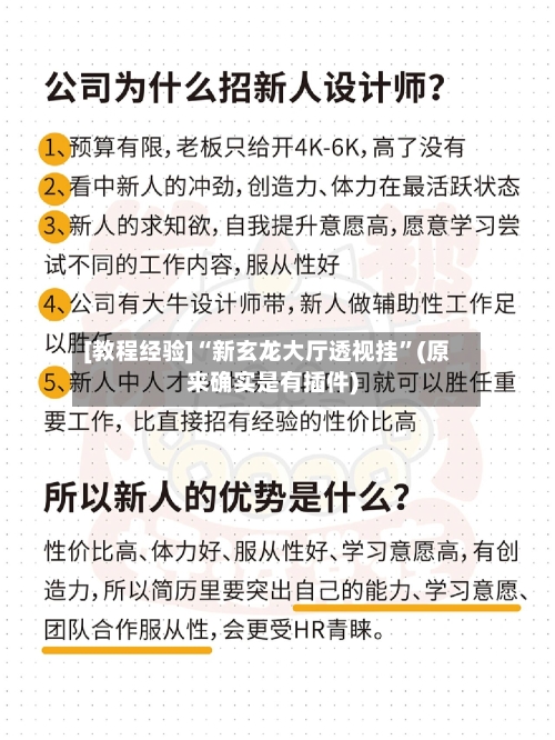 [教程经验]“新玄龙大厅透视挂”(原来确实是有插件)