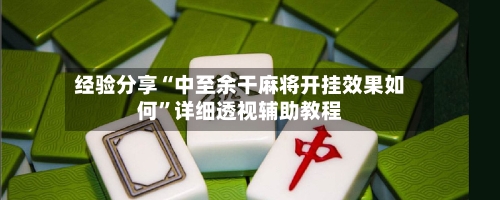 经验分享“中至余干麻将开挂效果如何”详细透视辅助教程-第3张图片