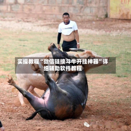 实操教程“微信链接斗牛开挂神器	”详细辅助软件教程-第2张图片