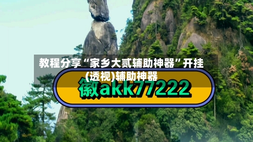 教程分享“家乡大贰辅助神器”开挂(透视)辅助神器