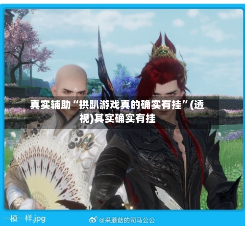 真实辅助“拱趴游戏真的确实有挂”(透视)其实确实有挂-第2张图片
