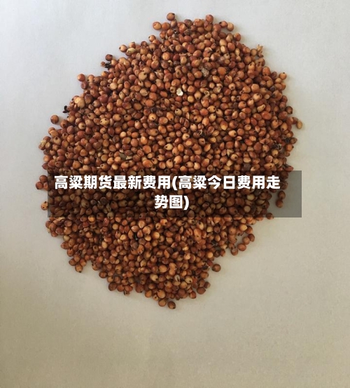 高粱期货最新费用(高粱今日费用走势图)-第3张图片