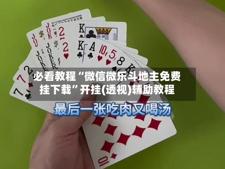 必看教程“微信微乐斗地主免费挂下载”开挂(透视)辅助教程-第2张图片