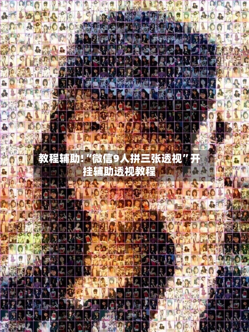 教程辅助!“微信9人拼三张透视”开挂辅助透视教程-第3张图片