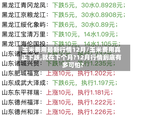 玉米费用最新行情12月/玉米费用真正下跌,就在下个月?12月行情到底有多可怕?
