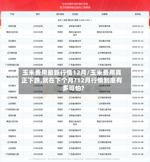 玉米费用最新行情12月/玉米费用真正下跌,就在下个月?12月行情到底有多可怕?-第3张图片