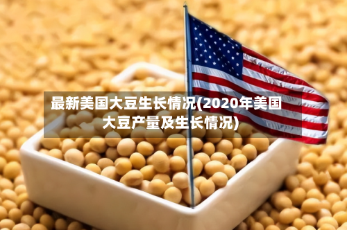 最新美国大豆生长情况(2020年美国大豆产量及生长情况)