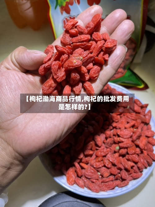 【枸杞渤海商品行情,枸杞的批发费用是怎样的?】