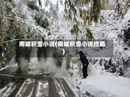 南城积雪小说(南城积雪小说结局)