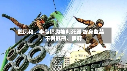 魏凤和、李尚福均被判死缓 终身监禁，不得减刑、假释-第2张图片