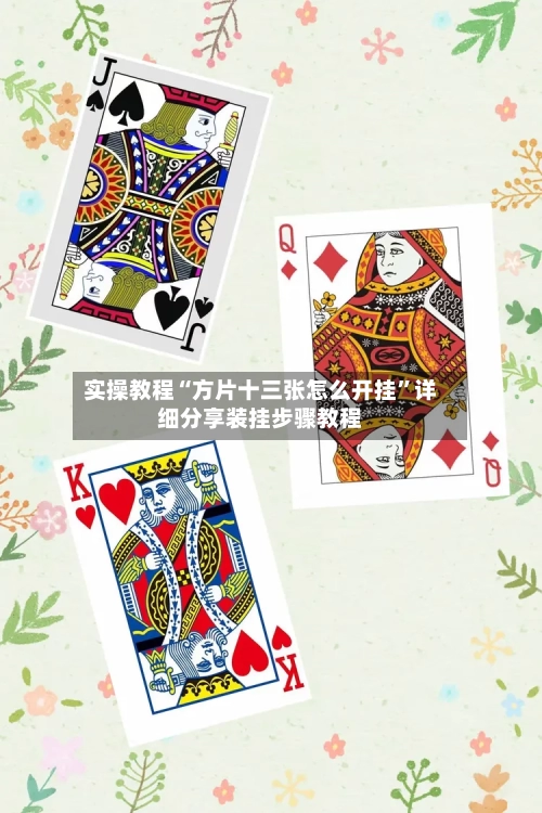 实操教程“方片十三张怎么开挂	”详细分享装挂步骤教程-第2张图片