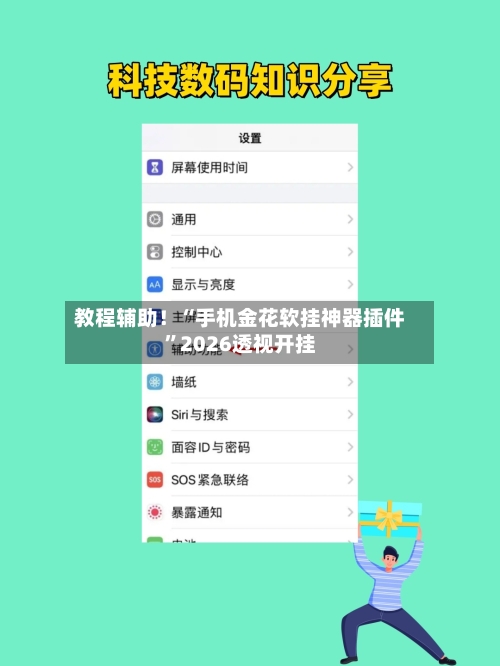 教程辅助！“手机金花软挂神器插件”2026透视开挂-第2张图片