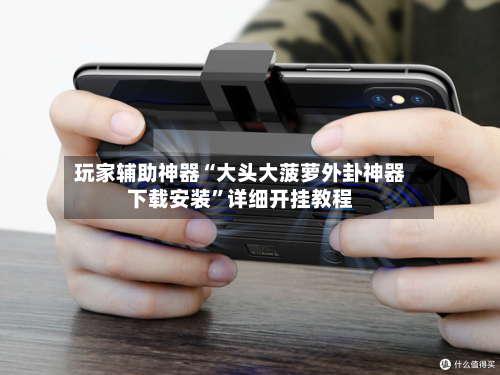 玩家辅助神器“大头大菠萝外卦神器下载安装	”详细开挂教程-第2张图片