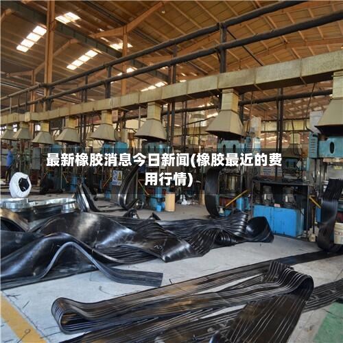 最新橡胶消息今日新闻(橡胶最近的费用行情)