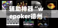 辅助神器“wepoker德州开挂辅助”(透视挂)辅助透视教程