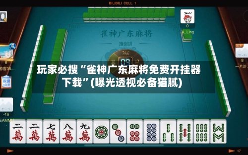 玩家必搜“雀神广东麻将免费开挂器下载”(曝光透视必备猫腻)-第3张图片