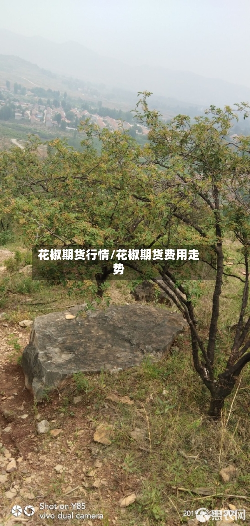 花椒期货行情/花椒期货费用走势