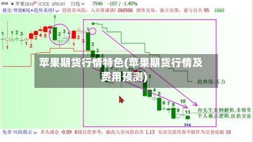 苹果期货行情特色(苹果期货行情及费用预测)-第2张图片