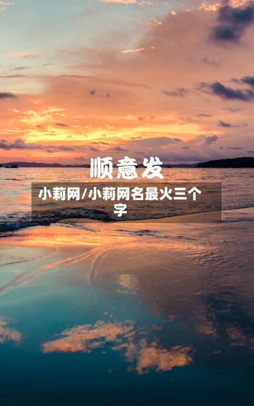小莉网/小莉网名最火三个字