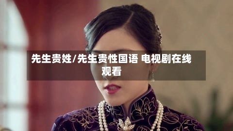 先生贵姓/先生贵性国语 电视剧在线观看-第2张图片
