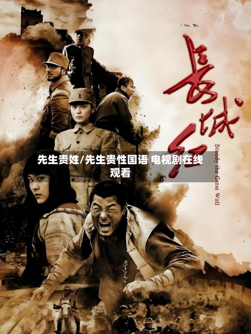 先生贵姓/先生贵性国语 电视剧在线观看-第3张图片