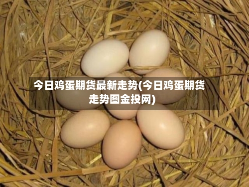 今日鸡蛋期货最新走势(今日鸡蛋期货走势图金投网)
