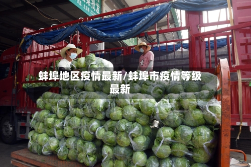 蚌埠地区疫情最新/蚌埠市疫情等级最新