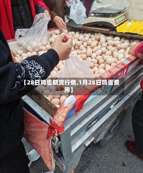 【28日鸡蛋期货行情,1月28日鸡蛋费用】