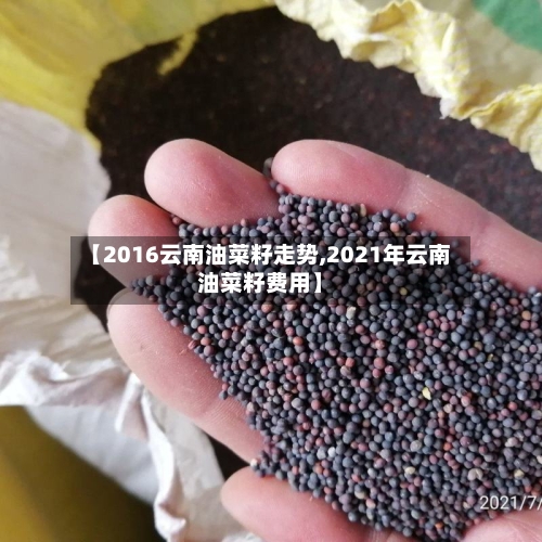 【2016云南油菜籽走势,2021年云南油菜籽费用】-第2张图片
