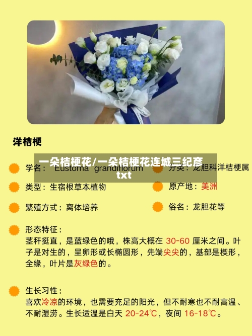 一朵桔梗花/一朵桔梗花连城三纪彦txt