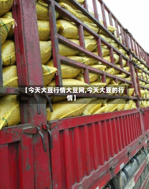 【今天大豆行情大豆网,今天大豆的行情】