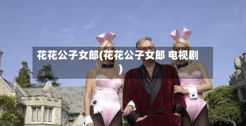 花花公子女郎(花花公子女郎 电视剧)