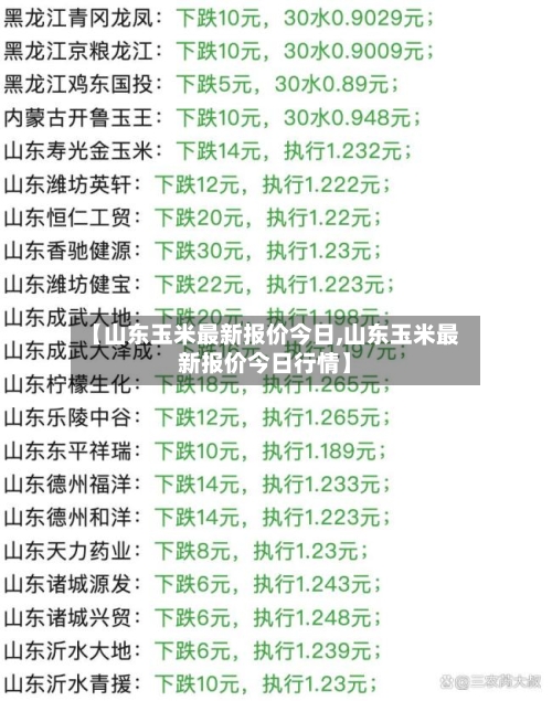 【山东玉米最新报价今日,山东玉米最新报价今日行情】