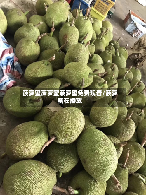 菠萝蜜菠萝蜜菠萝蜜免费观看/菠萝蜜在播放