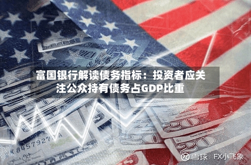 富国银行解读债务指标：投资者应关注公众持有债务占GDP比重-第2张图片