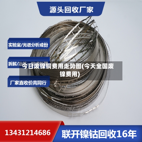 今日废镍铜费用走势图(今天全国废镍费用)