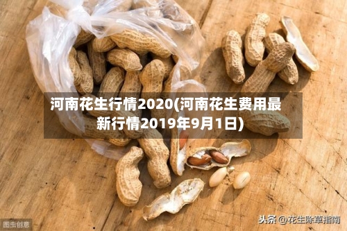 河南花生行情2020(河南花生费用最新行情2019年9月1日)-第2张图片