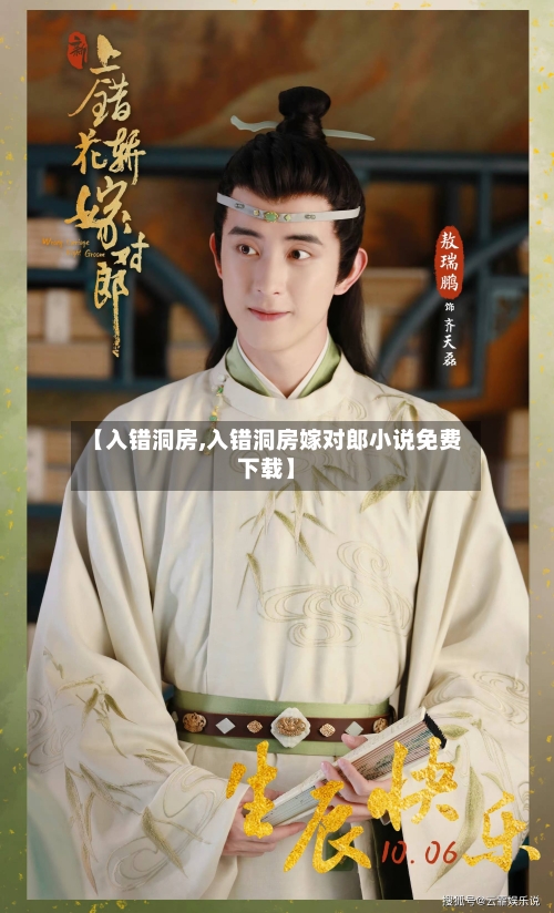 【入错洞房,入错洞房嫁对郎小说免费下载】
