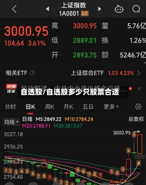 自选股/自选股多少只股票合适