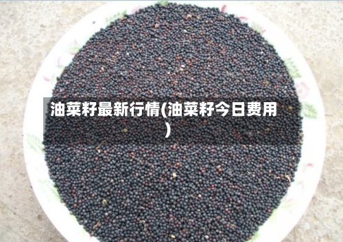 油菜籽最新行情(油菜籽今日费用)
