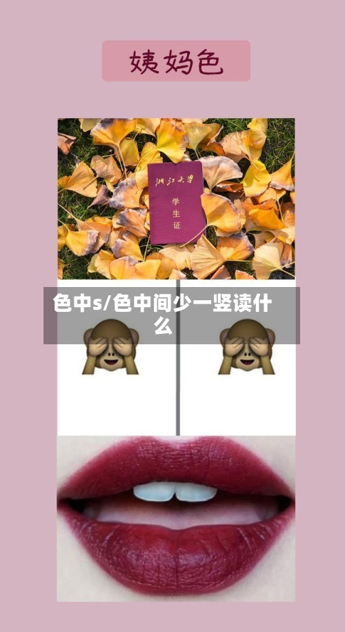 色中s/色中间少一竖读什么