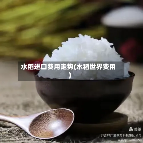 水稻进口费用走势(水稻世界费用)-第2张图片