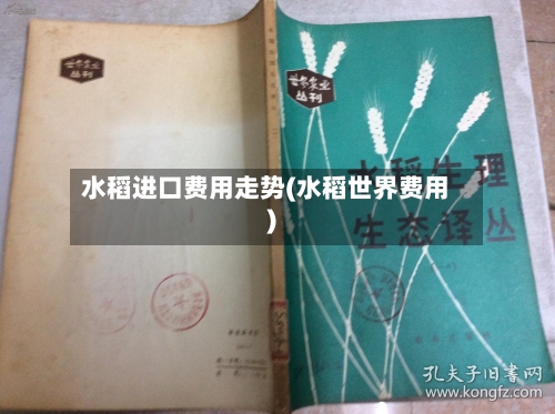 水稻进口费用走势(水稻世界费用)-第3张图片