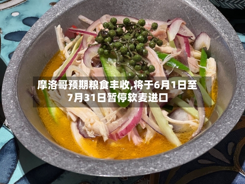 摩洛哥预期粮食丰收,将于6月1日至7月31日暂停软麦进口